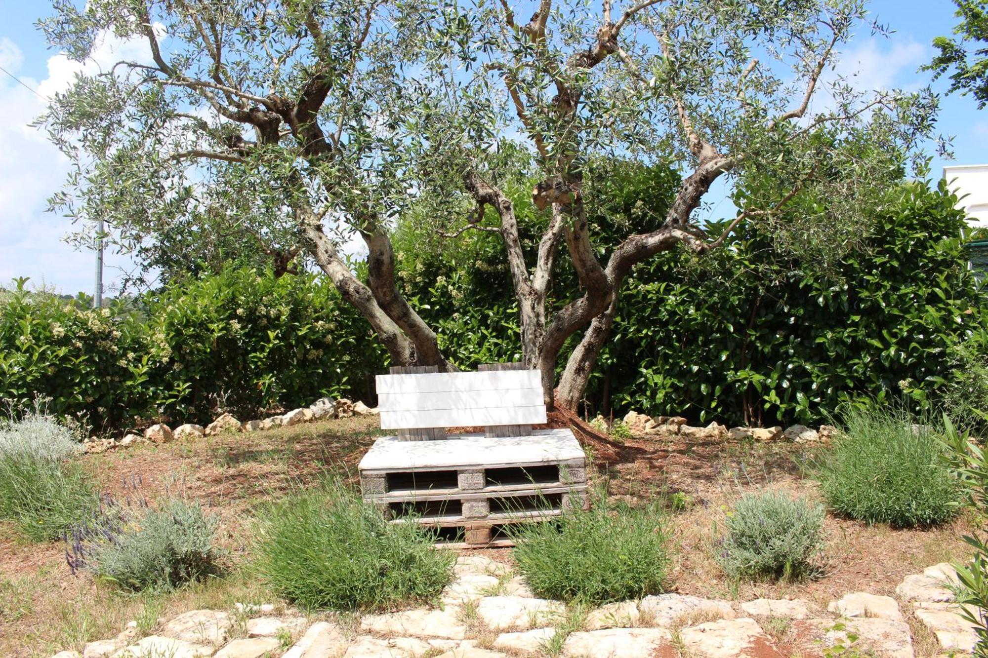 B&Bcasamali Selva Di Fasano Dış mekan fotoğraf